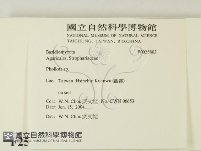 登錄號:F0025802藏品圖，第2張