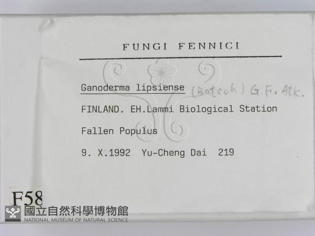 登錄號:F0005802藏品圖，第2張
