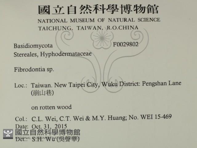 登錄號:F0029802藏品圖，第2張