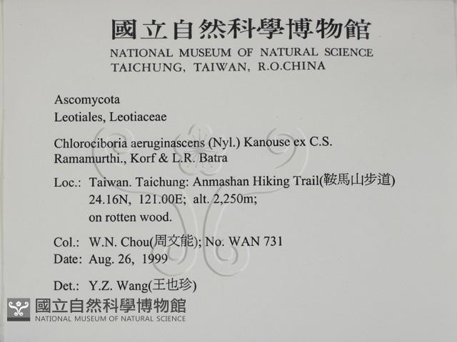 登錄號:F0009802藏品圖，第2張