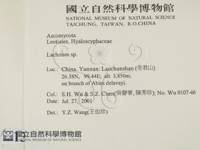 登錄號:F0013802藏品圖，第2張