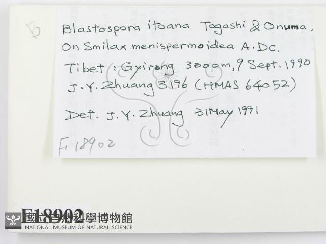 登錄號:F0018902藏品圖，第2張