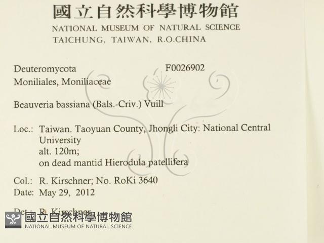 登錄號:F0026902藏品圖，第2張