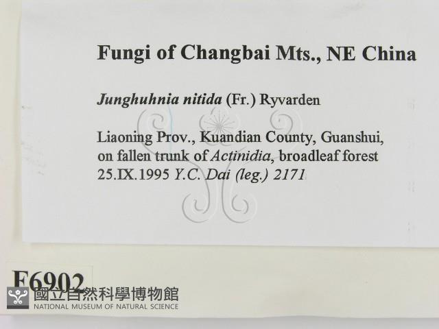 登錄號:F0006902藏品圖，第2張