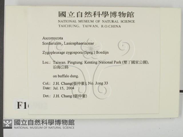 登錄號:F0016902藏品圖，第2張