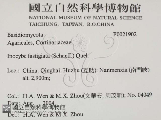 登錄號:F0021902藏品圖，第2張