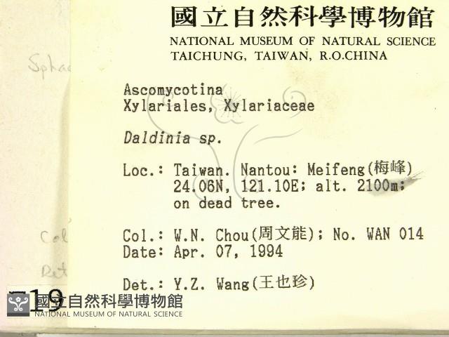 登錄號:F0001902藏品圖，第2張