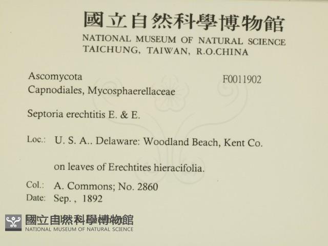 登錄號:F0011902藏品圖，第2張
