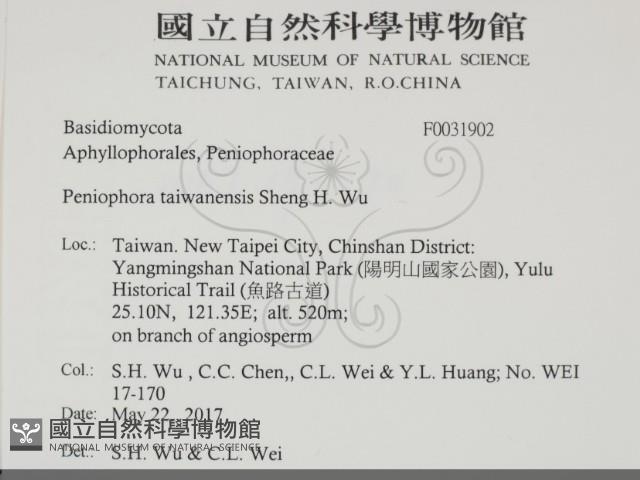 登錄號:F0031902藏品圖，第2張
