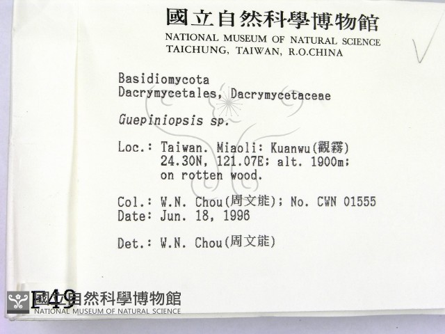登錄號:F0004902藏品圖，第2張