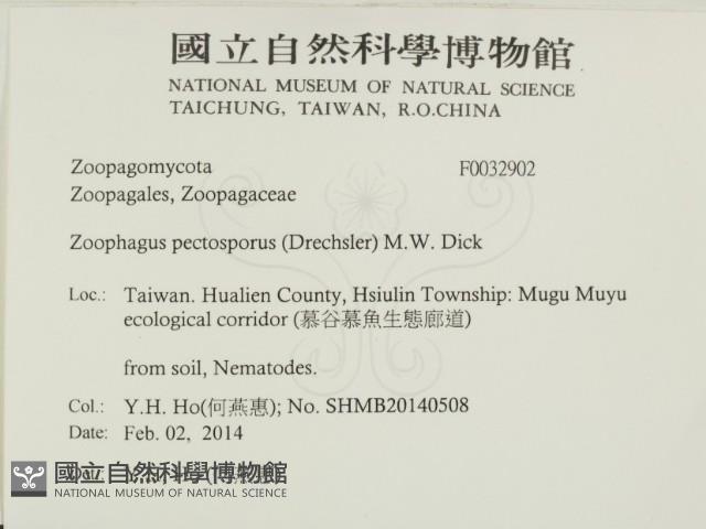 登錄號:F0032902藏品圖，第2張