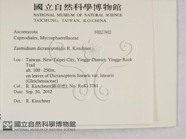 登錄號:F0027902藏品圖，第2張