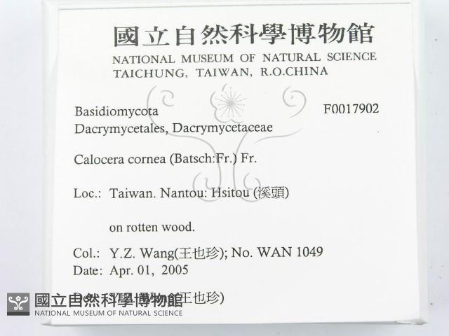 登錄號:F0017902藏品圖，第2張