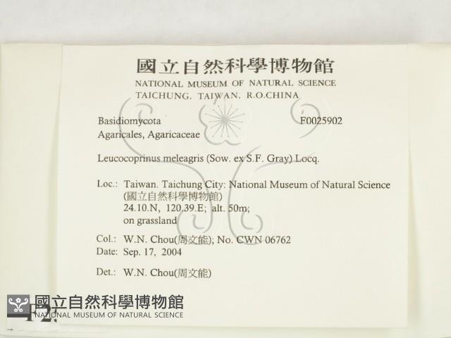 登錄號:F0025902藏品圖，第2張