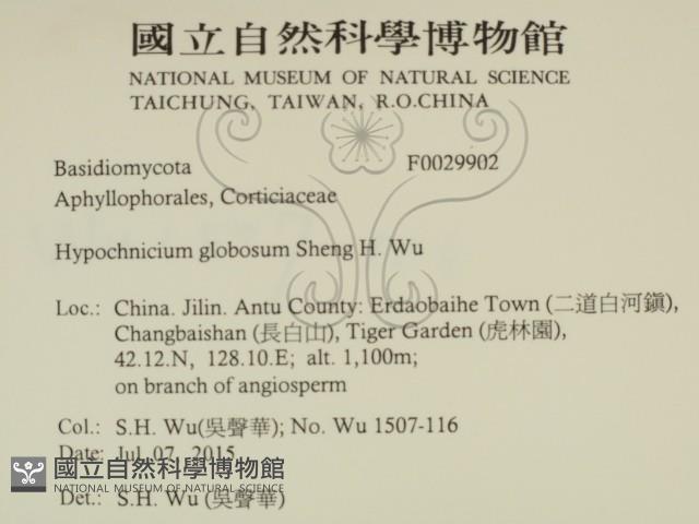 登錄號:F0029902藏品圖，第2張