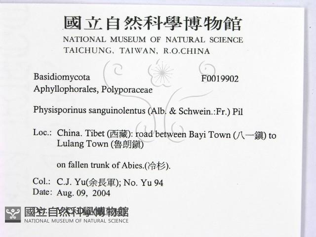 登錄號:F0019902藏品圖，第2張