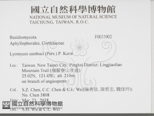 登錄號:F0033902藏品圖，第2張