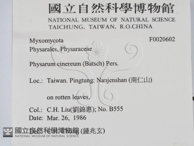 登錄號:F0020602藏品圖，第2張
