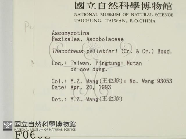 登錄號:F0000602藏品圖，第2張