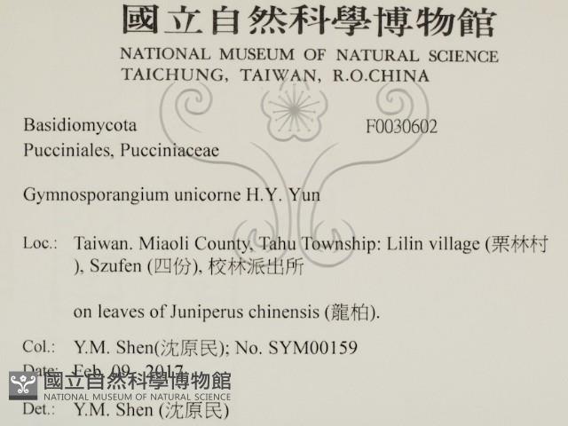 登錄號:F0030602藏品圖，第2張