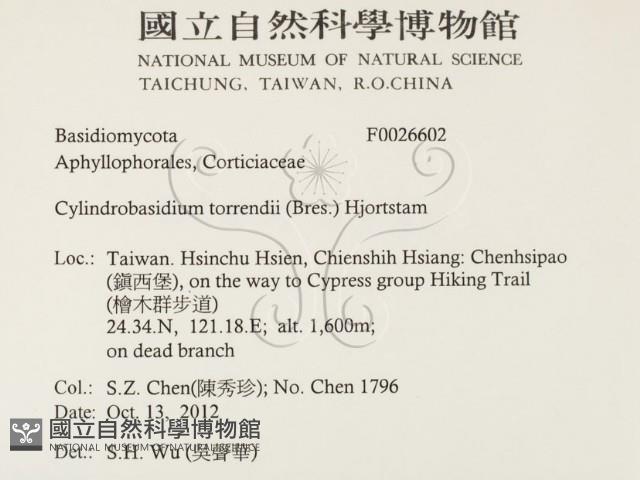 登錄號:F0026602藏品圖，第2張