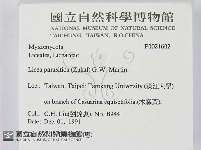 登錄號:F0021602藏品圖，第2張