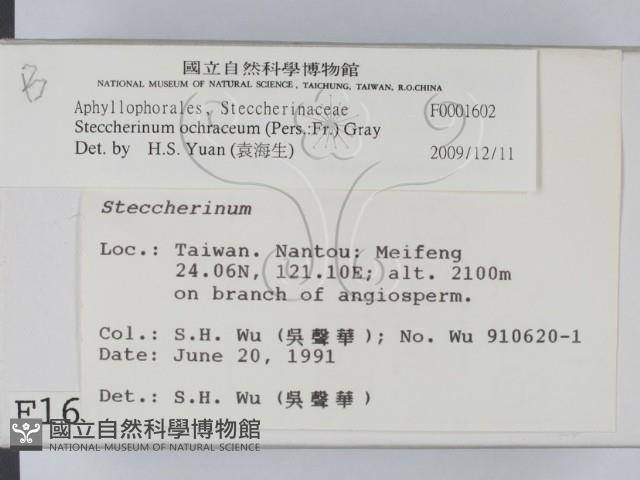 登錄號:F0001602藏品圖，第2張