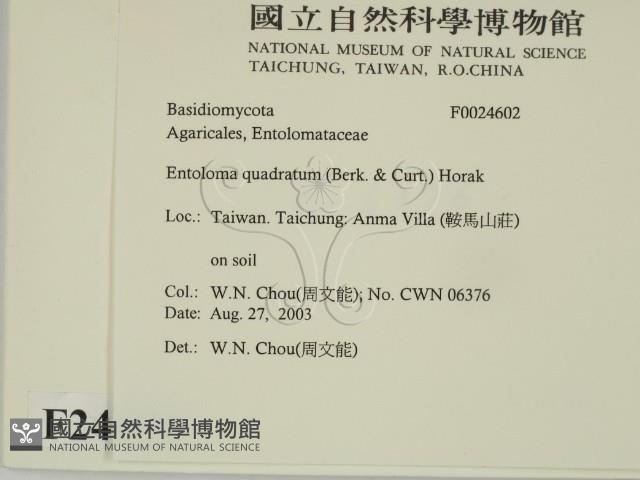 登錄號:F0024602藏品圖，第2張