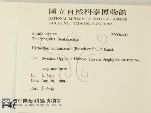 登錄號:F0004602藏品圖，第2張