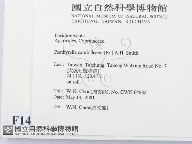 登錄號:F0014602藏品圖，第2張