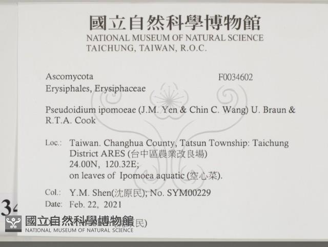 登錄號:F0034602藏品圖，第2張