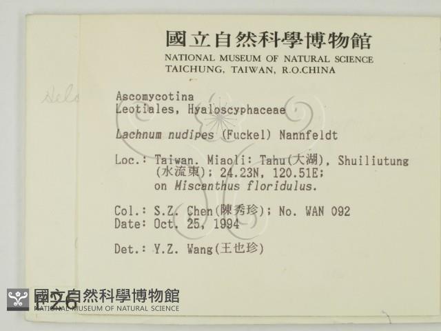 登錄號:F0002602藏品圖，第2張