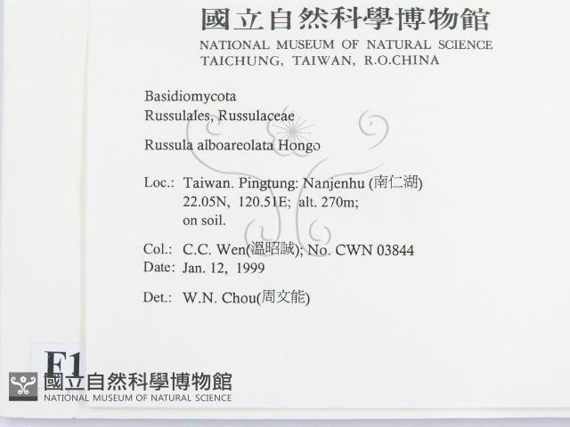 登錄號:F0012602藏品圖，第2張