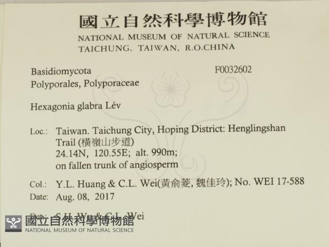 登錄號:F0032602藏品圖，第2張