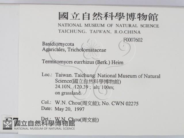 登錄號:F0007602藏品圖，第2張