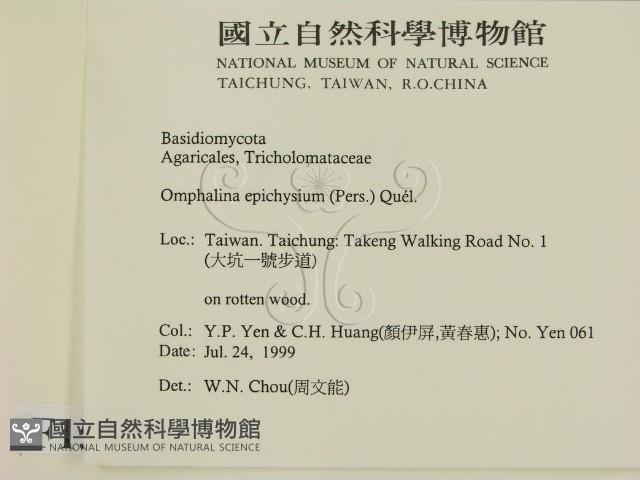 登錄號:F0015602藏品圖，第2張