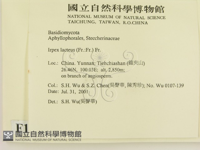 登錄號:F0013602藏品圖，第2張