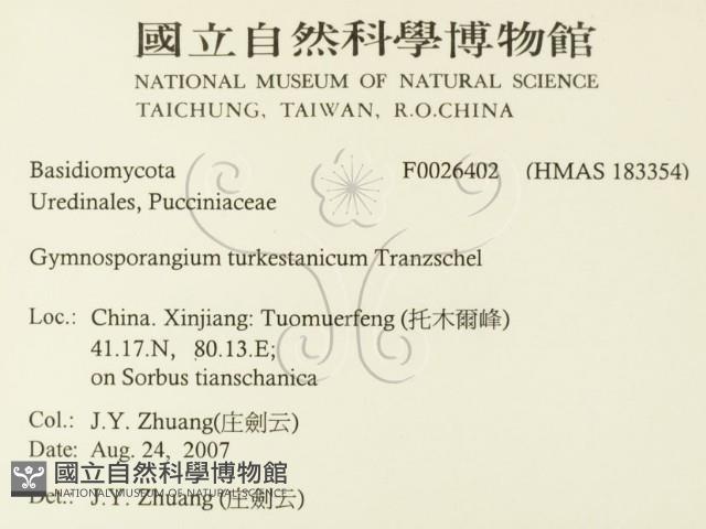 登錄號:F0026402藏品圖，第2張