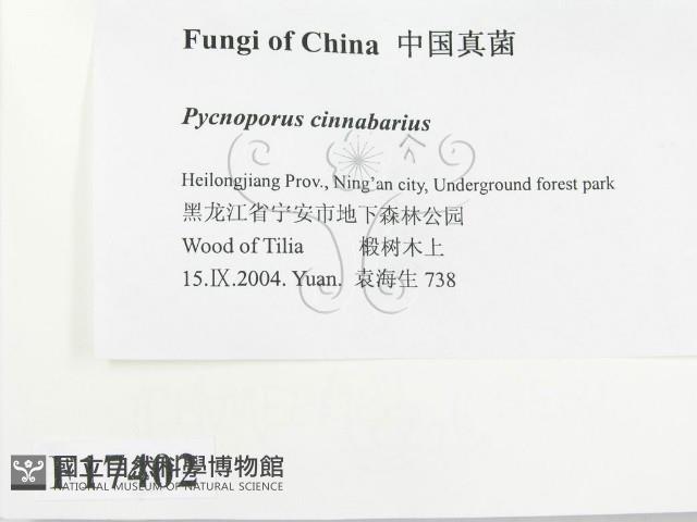 登錄號:F0017402藏品圖，第2張