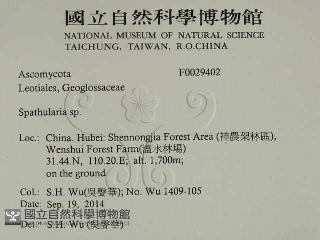 登錄號:F0029402藏品圖，第2張