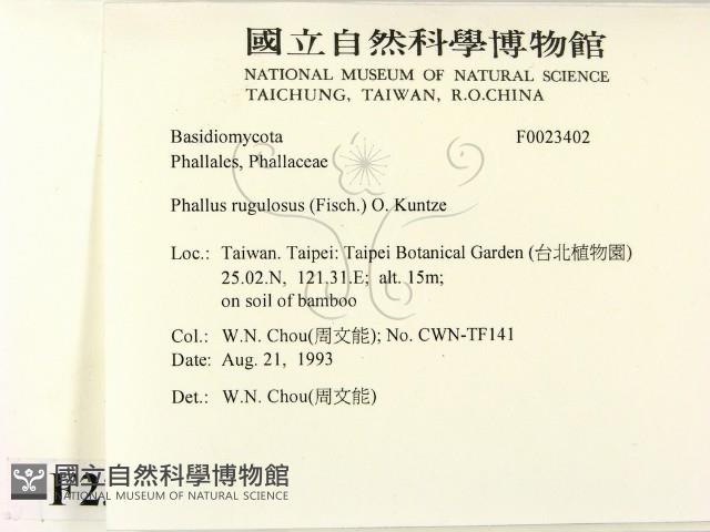 登錄號:F0023402藏品圖，第2張