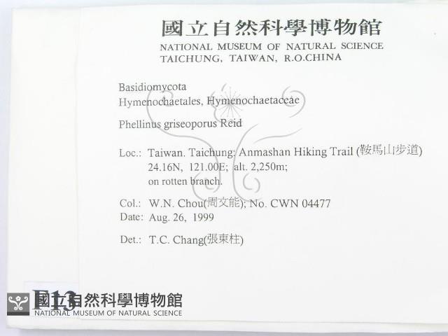 登錄號:F0013402藏品圖，第2張