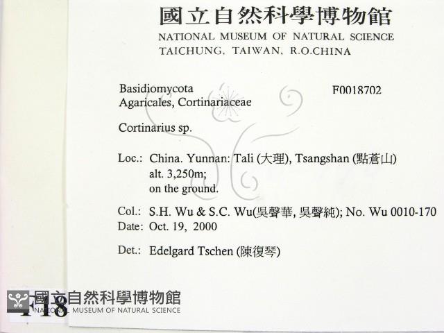 登錄號:F0018702藏品圖，第2張