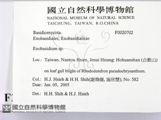 登錄號:F0020702藏品圖，第2張
