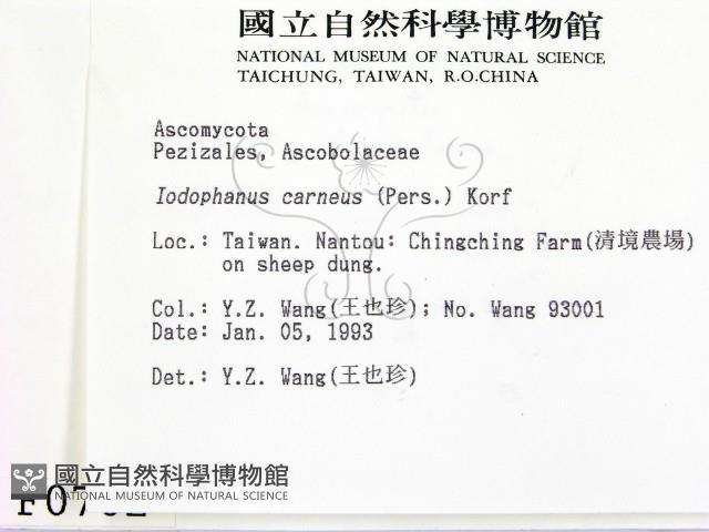 登錄號:F0000702藏品圖，第2張