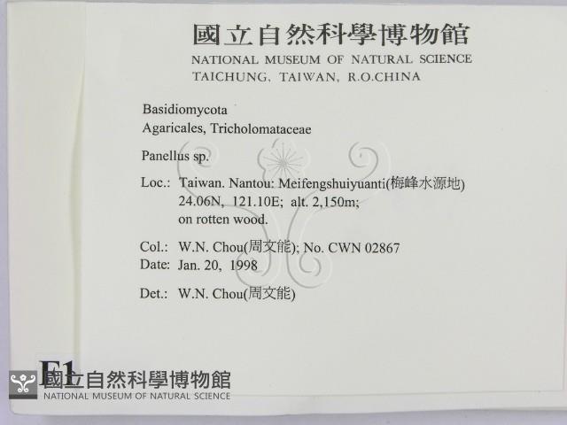 登錄號:F0010702藏品圖，第2張