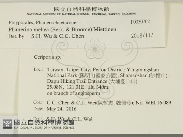 登錄號:F0030702藏品圖，第2張