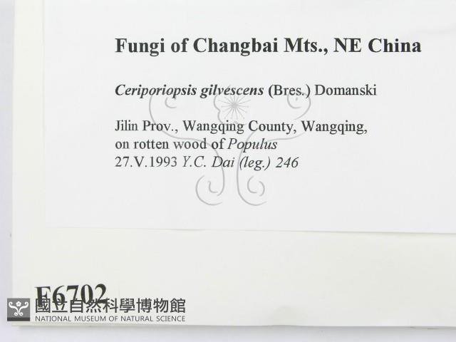 Accession Number:F0006702 Collection Image, Figure 2, Total 2 Figures