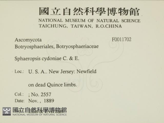 登錄號:F0011702藏品圖，第2張