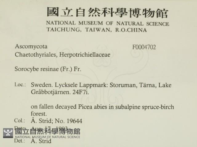 登錄號:F0004702藏品圖，第2張